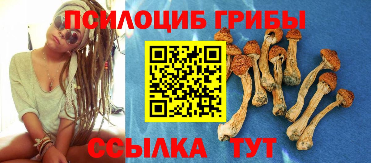 Псилоцибиновые грибы Cubensis Мценск